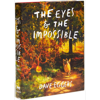 2024年凯迪克纽伯瑞获奖绘本作品