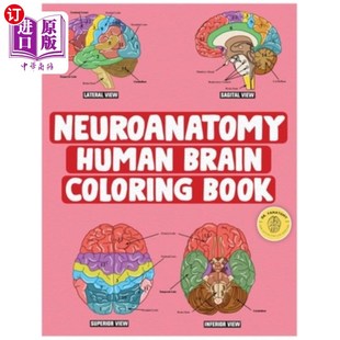 海外直订医药图书Neuroanatomy Human Brain Coloring Book: Neuroscience Coloring Book with MCQs ( M 神经解剖学人类大脑