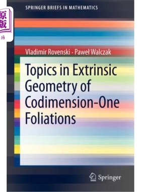 海外直订Topics in Extrinsic Geometry of Codimension-One Foliations 余维一叶状的外在几何主题
