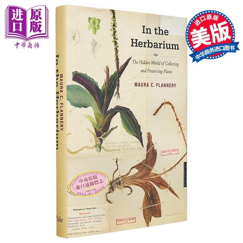在植物标本室 In the Herbarium The Hidden World of Collecting Preserving Plants 英文原版 Maura C Flannery【中商原版?