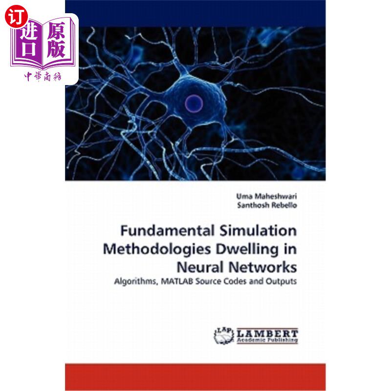 海外直订Fundamental Simulation Methodologies Dwelling in Neural Networks 神经中的基本仿真方法