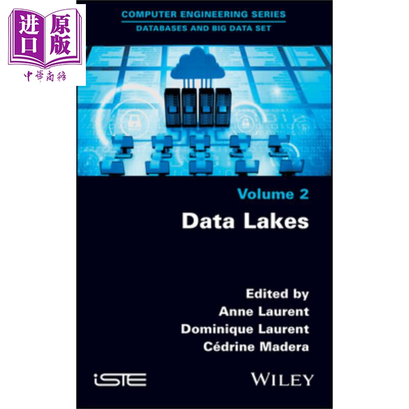 现货 数据湖 Data Lakes Anne Laurent 英文原版【中商原版】wiley