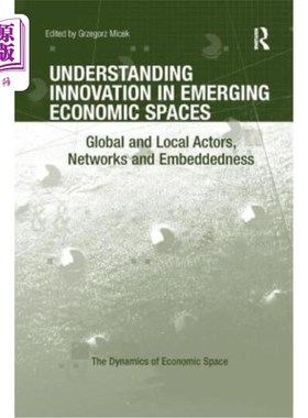 海外直订Understanding Innovation in Emerging Economic Spaces: Global and Local Actors, N 理解新兴经济空间中的创新: