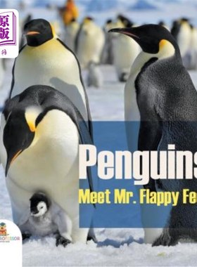 海外直订Penguins - Meet Mr. Flappy Feet 企鹅-见见弗莱皮·福特先生