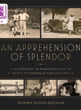 海外直订Apprehension of Splendor 领悟辉煌