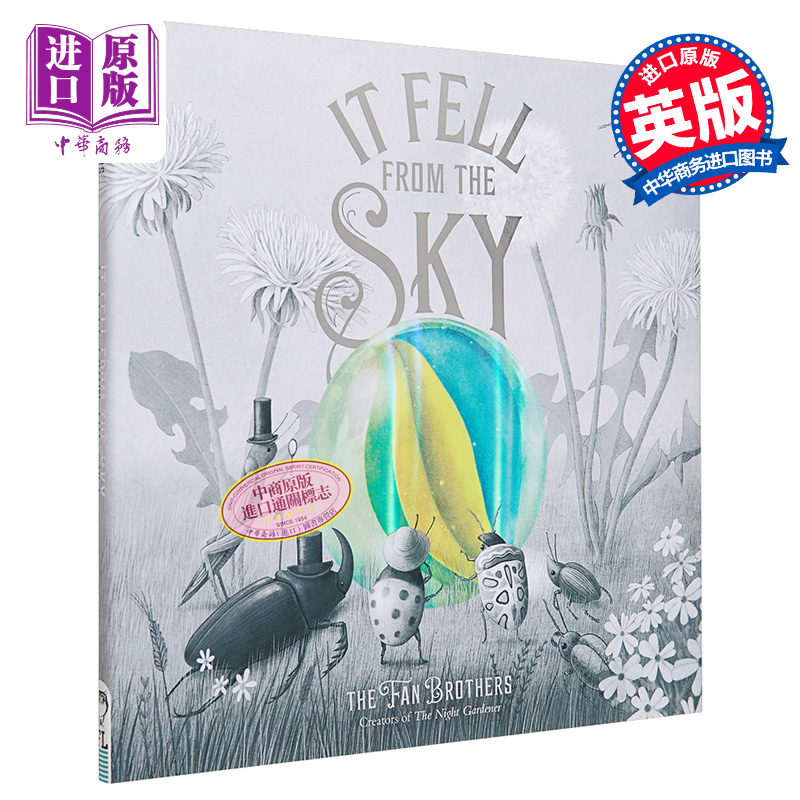 范氏兄弟来自天空的你英文原版