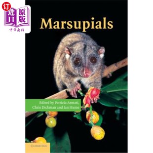 海外直订Marsupials 有袋动物