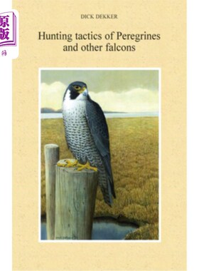 海外直订Hunting Tactics of Peregrines and other Falcons 游隼和其他猎鹰的狩猎策略