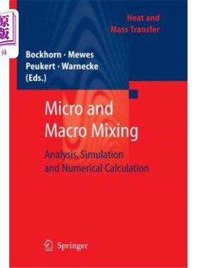 海外直订Micro and Macro Mixing: Analysis, Simulation and Numerical Calculation 微观与宏观混合:分析、模拟与数值计算