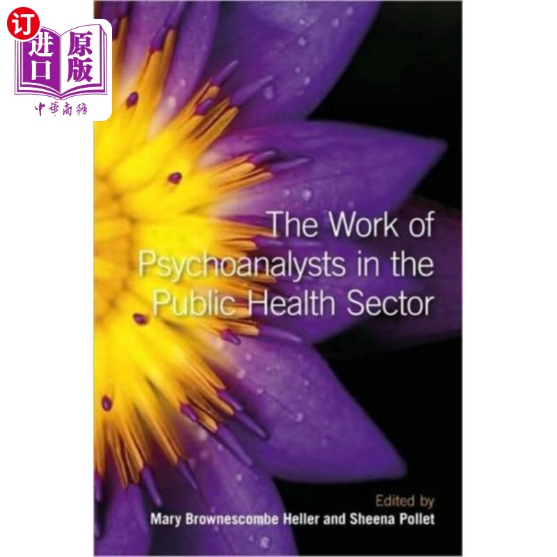 海外直订Work of Psychoanalysts in the Public Health Sect...精神分析学家在公共卫生部门的工作-封面