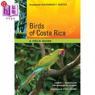 Rica 鸟类 野外指南 哥斯达黎加 Costa Guide 海外直订Birds Field