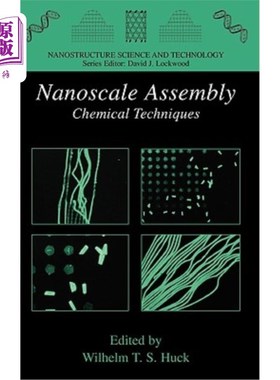 海外直订Nanoscale Assembly: Chemical Techniques 纳米级组装:化学技术