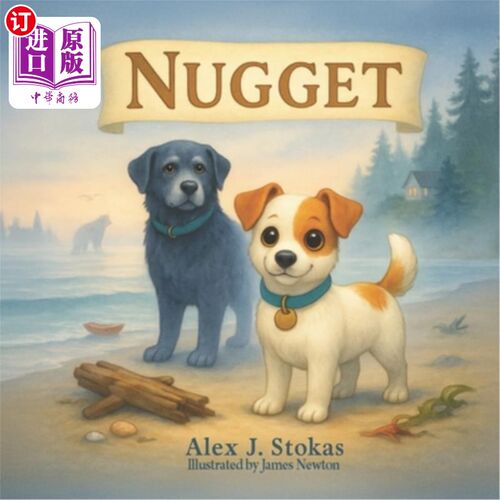 海外直订Nugget 金块