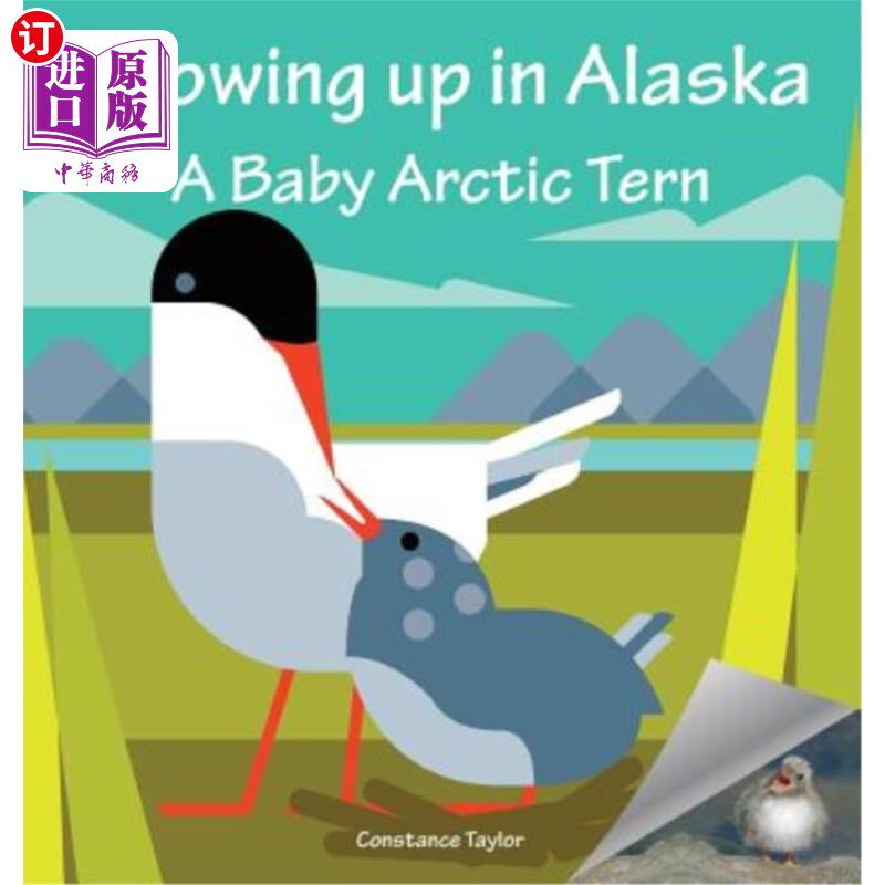 海外直订Growing Up in Alaska: A Baby Arctic Tern 在阿拉斯加长大的北极燕鸥宝宝