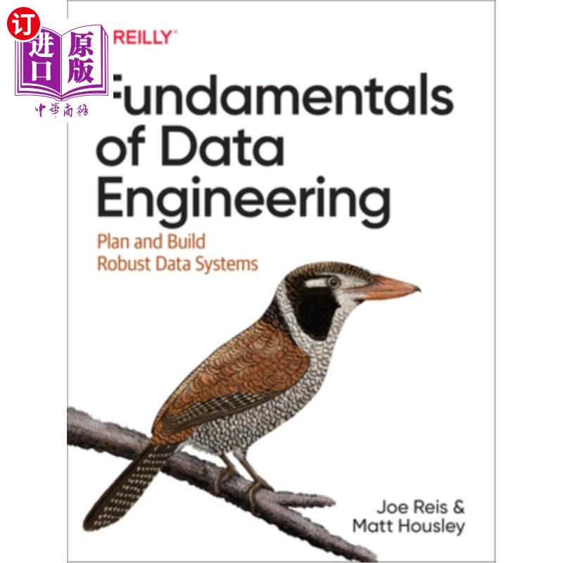 海外直订Fundamentals of Data Engineering: Plan and Build Robust Data Systems 数据工程基础:计划和构建健壮的数据系统