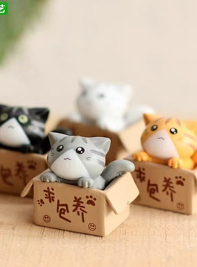 微景观可爱求包养私房猫小猫咪