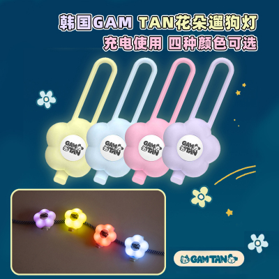 Gamtan花朵遛狗灯led吊坠可充电