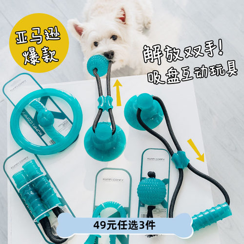 英国飞康解放双手拉扯狗训练幼犬