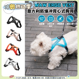 撞色轻便易穿脱宠物出行用品 waw狗狗胸背带遛狗防爆冲时尚