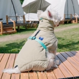 Корейская щенка на открытом воздухе горячая куртка домашние животные домашние животные осень и зимняя собака маленькая и маленькая собака