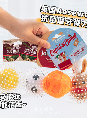 rosewood狗狗玩具球弹力宠物磨牙啃咬清洁口腔互动寻回玩具
