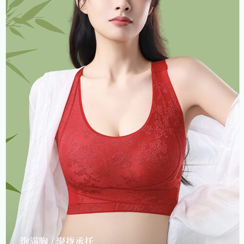 外贸跨境TEMU希音亚马逊国风前置收副乳交叉美背蕾丝大码女士内衣