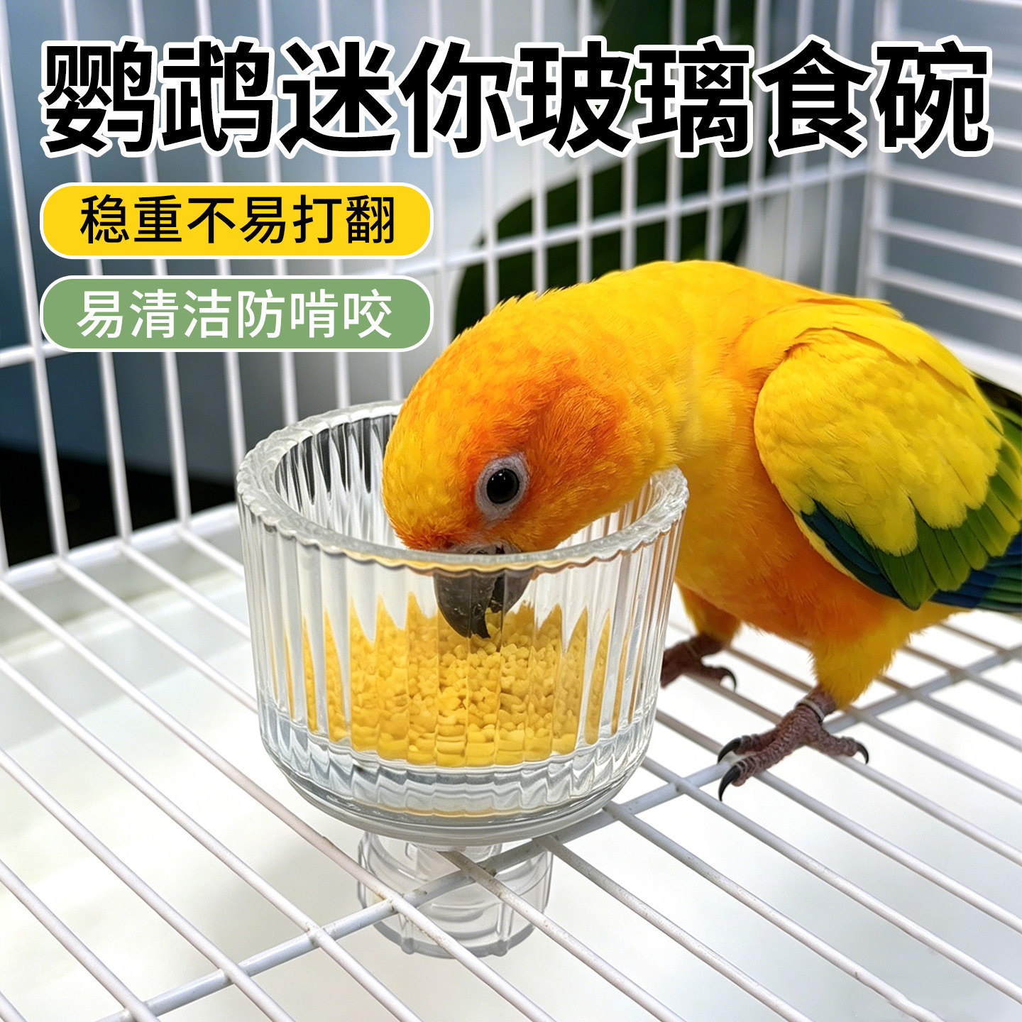 鹦鹉玻璃食碗水碗盒内外置虎皮专用玄凤喂鸟器防溅悬挂式用品大全图片