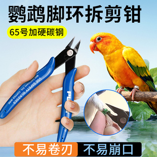 鹦鹉剪脚环器拆剪钳子工具鸟类剪足环小型信鸽赛鸽识别环脚链专用