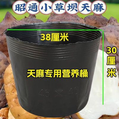 天麻桶装户外营养钵育苗简易黑色塑料加厚大号营养袋防老化结实