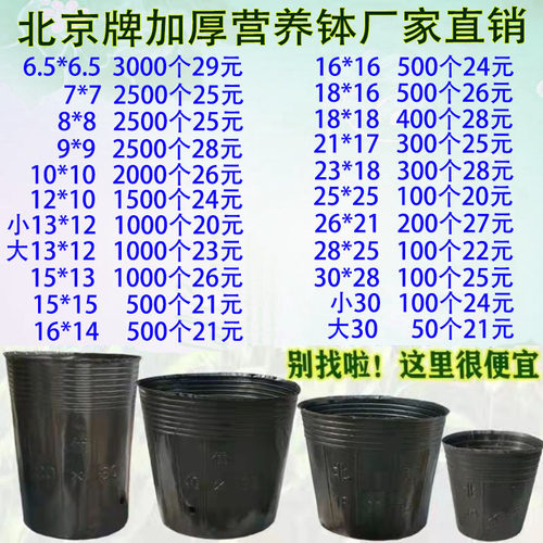 西瓜杯加厚营养钵黑色育苗袋