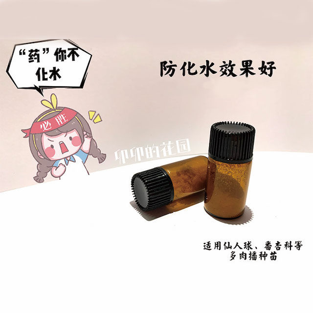 卯卯的花园防化水药1g种子