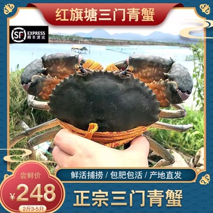 正宗三门大青蟹公蟹母蟹肉蟹处子螃蟹 海鲜礼盒水产鲜活 2斤3-5只