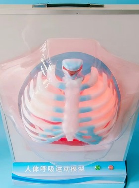 J33224人体呼吸运动模型电动式生物实验器仪高中物理教学具教老师