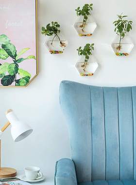 壁挂玻璃花盆花瓶家居装饰挂墙水培4pc六角形植物绿萝容器