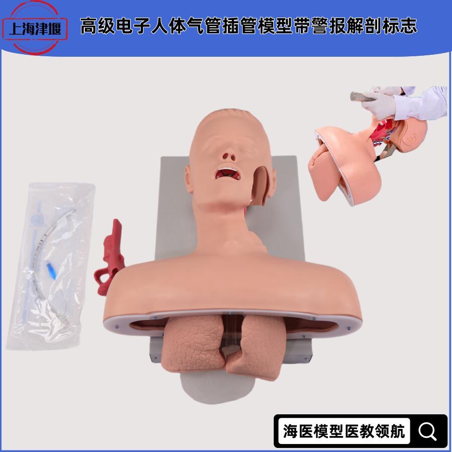 警报气管插管高级模型带训练急救高级模拟人医用人体教学模型