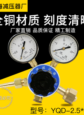 上海减压器厂YQD-2.5*25MPA氮气减压器气体钢瓶调压减压阀 压力表