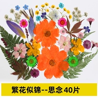 Имбирные цветы, как пропущенные парчи