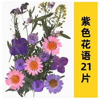 Фиолетовый фиолетовый цветочный язык 21 таблетки