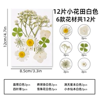 Белый, 12 штук