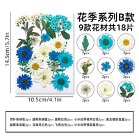 Цветочный сезон B-18 Таблетки