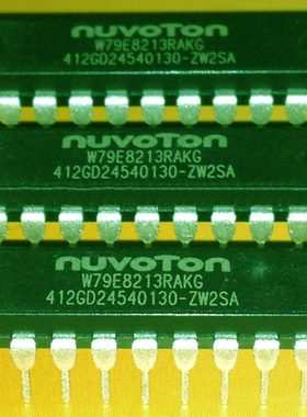 新唐 W79E8213RAKG DIP-20 全新原装正品 可直拍