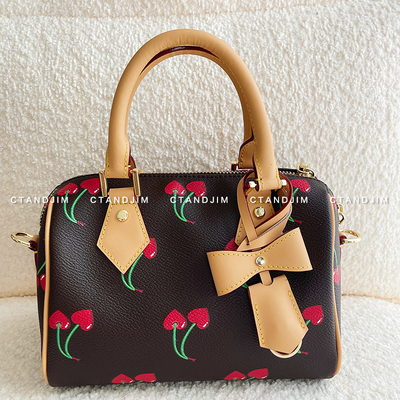 CTANDJIM经济上行的美 复古樱桃车厘子波士顿包 mini手拎包