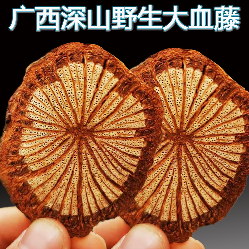 广西野生大血藤大血藤