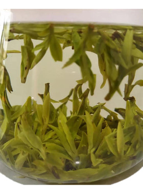 2026年新茶 绿茶 特级龙井茶叶 明前龙井茶豆香春茶 43号嫩芽250g