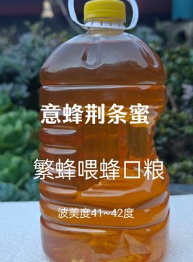 繁蜂喂蜂越冬口粮意蜂杂花蜜5斤