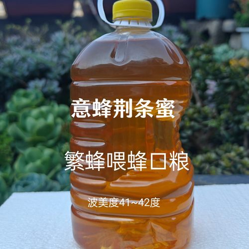 繁蜂喂蜂越冬口粮意蜂杂花蜜5斤