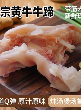 带筋牛蹄】正宗牛蹄黄牛牛脚整只牛筋牛蹄筋去骨牛蹄子新鲜牛脚筋