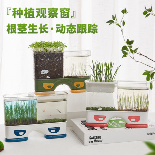 儿童种植盆栽创意植物手工diy幼儿园小学生观察植物生长观察盒