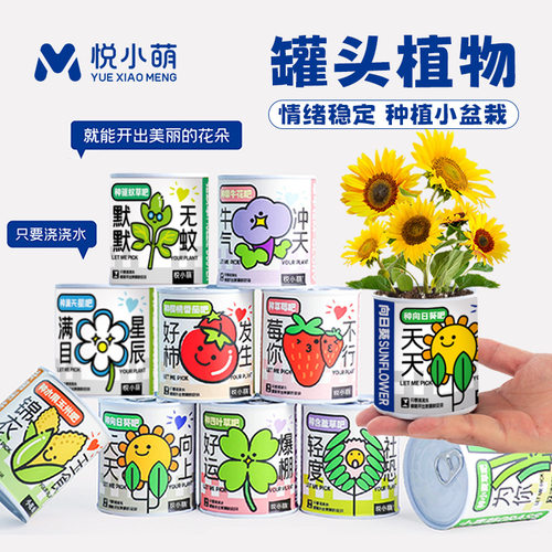 网红办公室绿植桌面罐头植物幸运草向日葵种子儿童种植迷你小