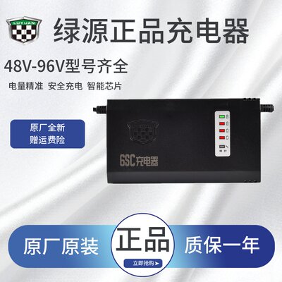 绿源电动车原装智能充电器60V72V